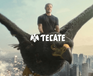 05 Advertising